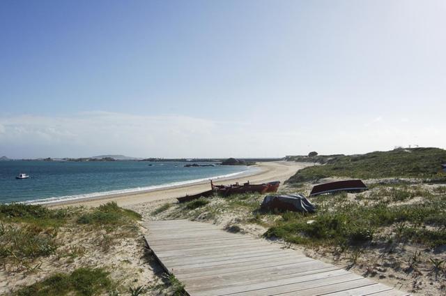 Carola L, "Apartamento De Lujo A 100M Playa Catia" Ribeira Exteriör bild